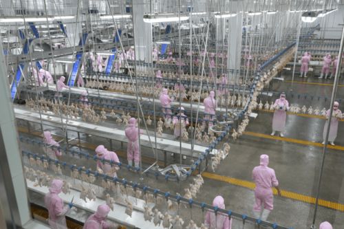 援產(chǎn)業(yè)扶智脫貧 促團(tuán)結(jié)穩(wěn)定邊疆——首都國(guó)企援疆餐飲管理工作紀(jì)實(shí)